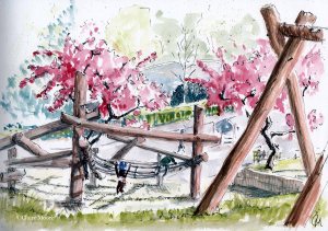 Spring Blossom 2