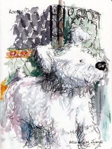 Roodle, Brighton Dome